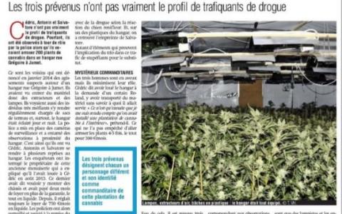 Trois prévenus devant le Tribunal correctionnel pour 200 plants de cannabis